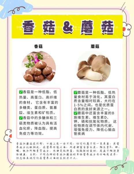宝宝吃香菇好吗_宝宝多大可以吃香菇