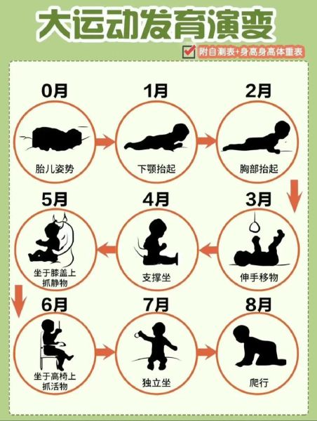 宝宝发育指标对照表_宝宝几个月会翻身