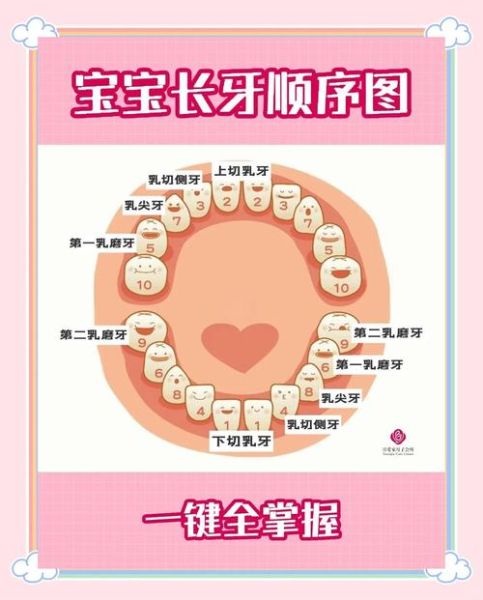 宝宝出牙早代表什么_出牙早的宝宝聪明吗