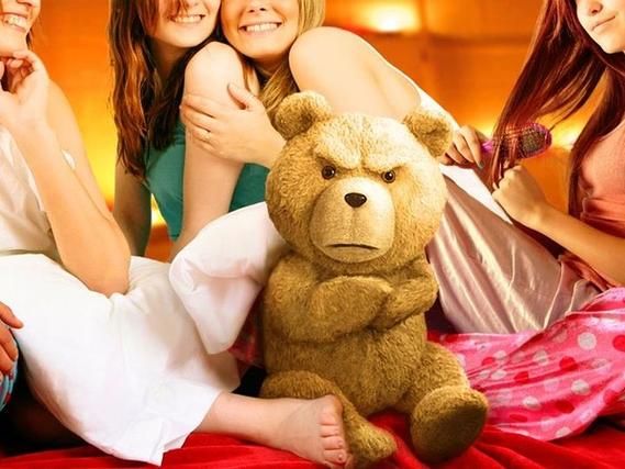 泰迪熊迅雷下载_哪里能看高清完整版