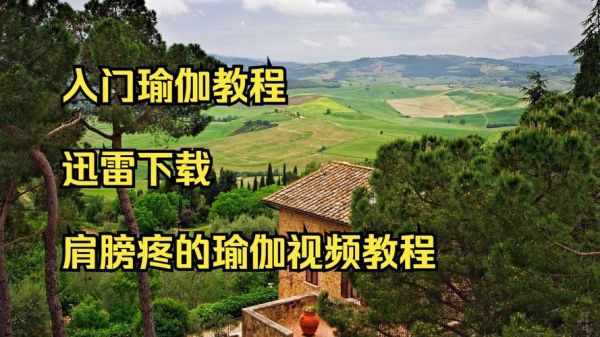 瑜伽迅雷下载_如何找到高清资源