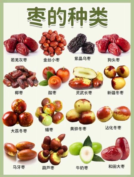 枣子图片大全_如何挑选优质红枣