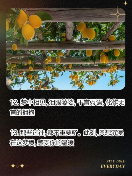 梦到去世的母亲_是什么意思