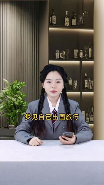 梦到出国了是什么意思_梦到出国了预示着什么