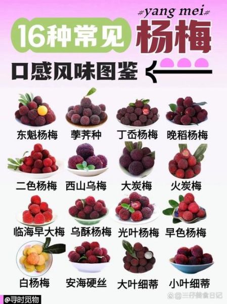 杨梅图片大全_如何挑选新鲜杨梅