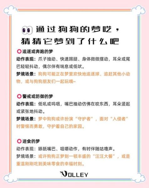 梦到狗是什么征兆_梦见狗咬人代表什么