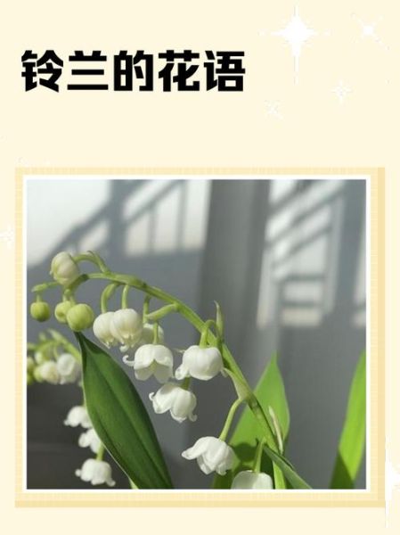 铃兰图片大全_铃兰花语是什么