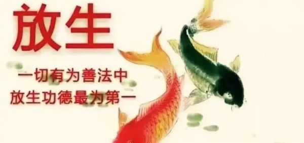 梦到放生鱼是什么意思_放生鱼梦境预示什么