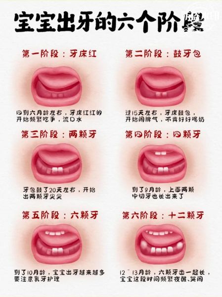 3个多月宝宝长牙正常吗_婴儿最早几个月长牙算正常