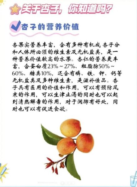 多大的宝宝可以吃杏_宝宝吃杏注意事项