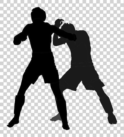 格斗图片大全_如何挑选高清素材