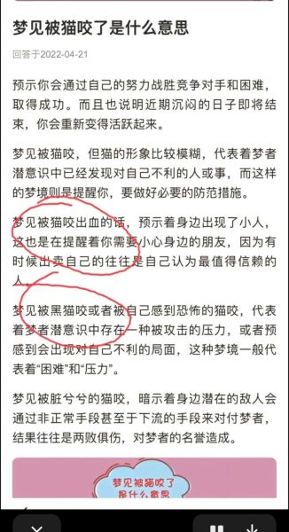 女人梦到猫是什么意思_梦见猫扑过来代表什么