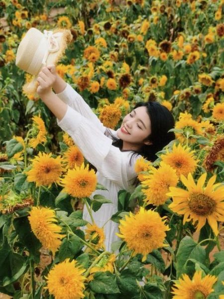 唯美图片大全哪里找_唯美图片怎么拍