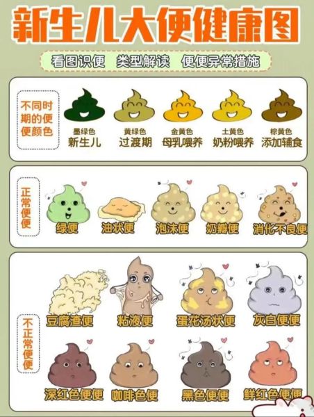6个月宝宝正常大便图_如何判断宝宝大便是否正常