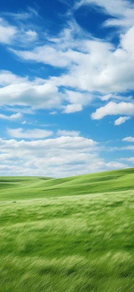 蓝天草原图片大全_如何拍摄最美草原天空