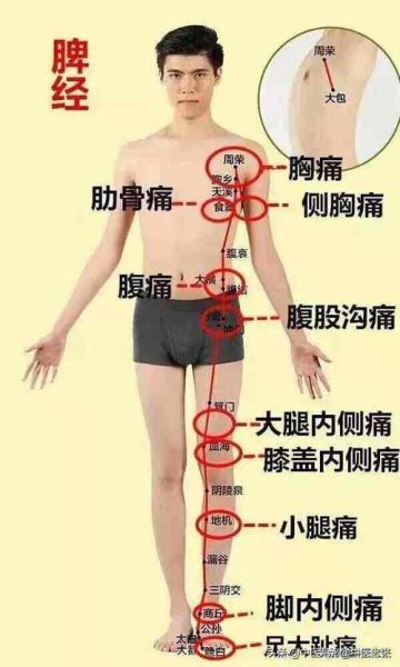 疼痛图片大全_身体各部位疼痛图解