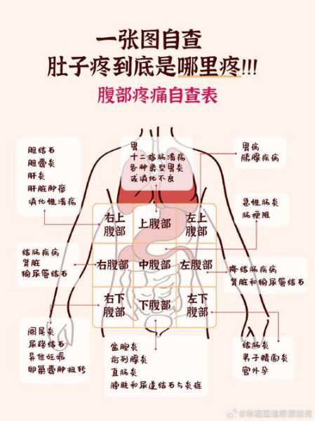 疼痛图片大全_身体各部位疼痛图解