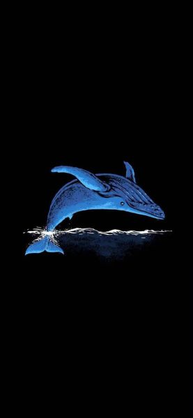 黑色壁纸图片大全_如何挑选高清黑色壁纸