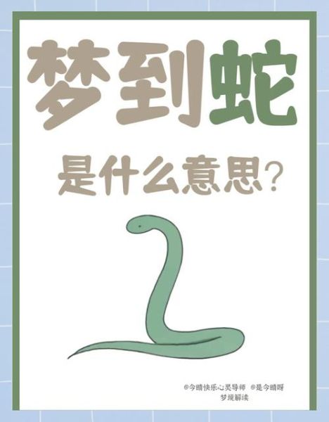 梦到蛇皮是什么意思_梦见蛇皮预示什么