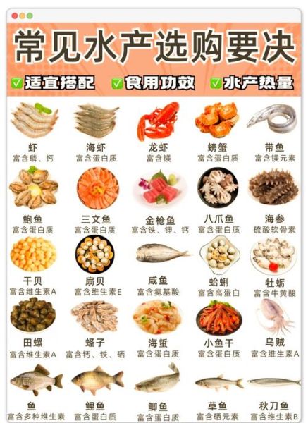 海鲜图片大全_如何挑选最新鲜的海鲜