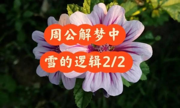 梦到夏天下雪_周公解梦