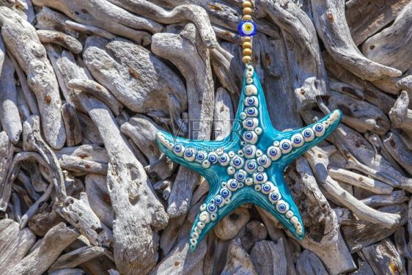 海星图片大全大图_海星高清壁纸怎么下载