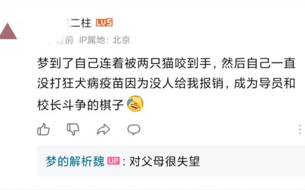 梦到猫咬是什么意思_猫咬梦境预示什么