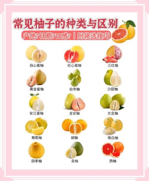 柚子图片大全大图_如何挑选高清素材