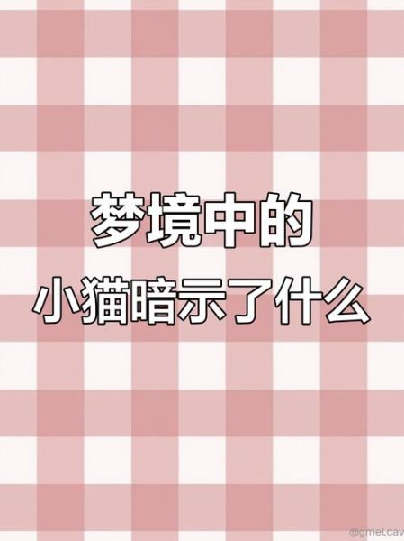 孕期梦到猫是什么意思_孕妇梦见猫是生男还是生女