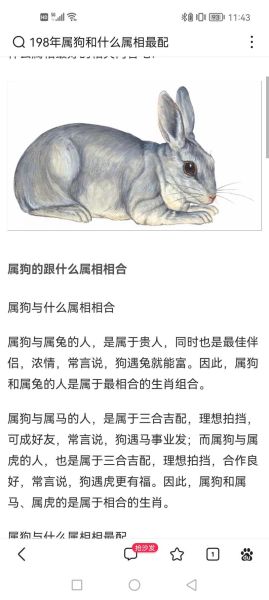 属狗的生牛宝宝好吗_属狗父母与属牛孩子合不合