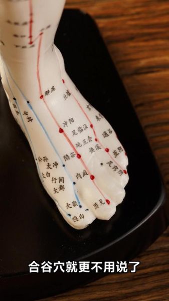 胳膊拔罐位置图片大全_胳膊拔罐有哪些穴位