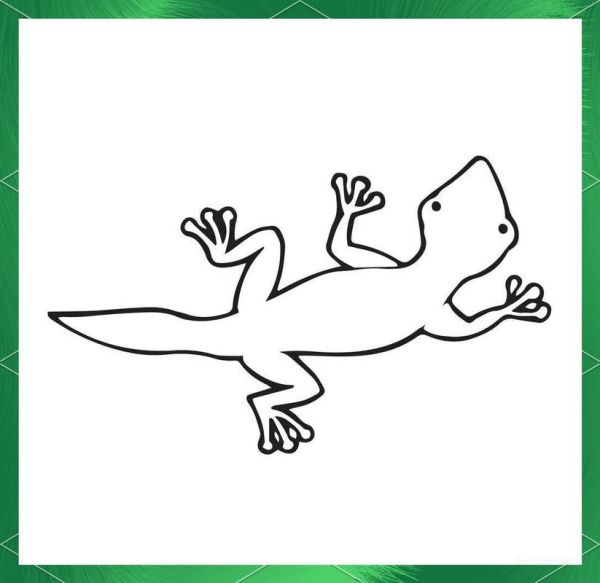 小壁虎简笔画怎么画_小壁虎简笔画图片大全