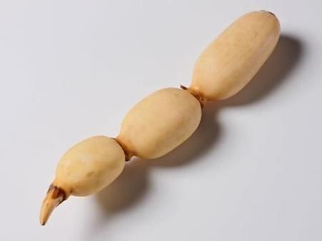 梦到莲藕是什么意思_梦见莲藕预示什么