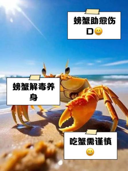 梦到很多螃蟹是什么意思_周公解梦与心理暗示
