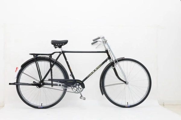 28自行车图片大全_经典老款28寸自行车有哪些