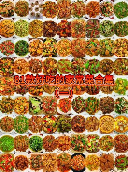 家常菜谱大全_如何快速学会做菜