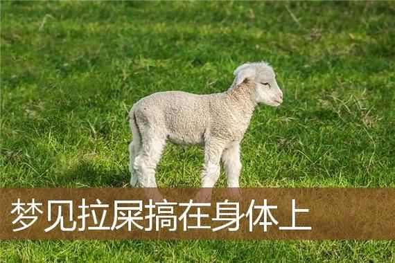 梦到拉屎弄自己身上_意味着什么